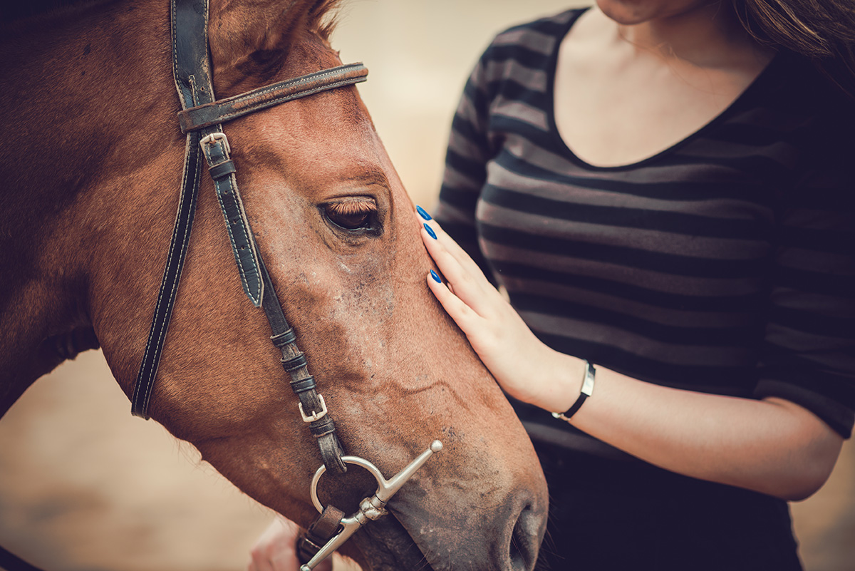 woman pets a horse as part of recreational therapy