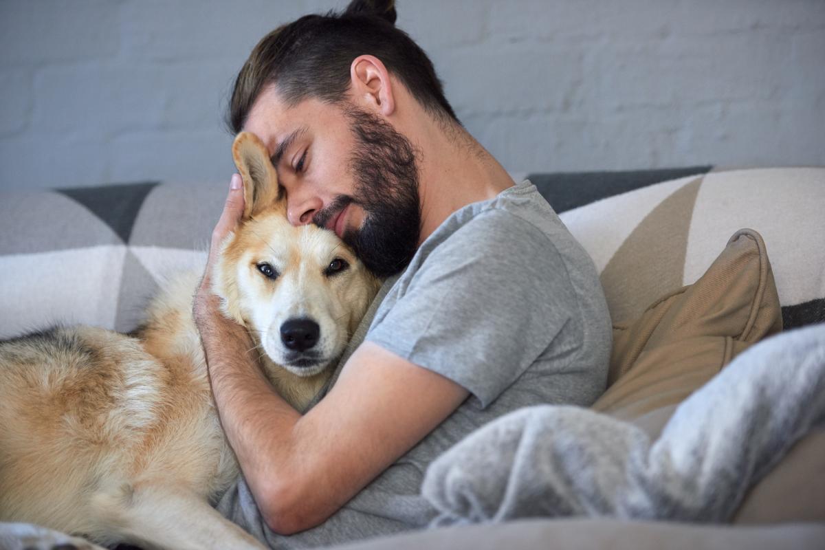 Animal-Assisted Therapy | Addiction Recovery Texas Animal-Assisted Therapy | Addiction Recovery Texas